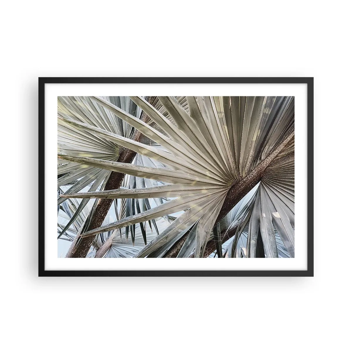 Poster în ramă neagră - Evantaie din tropice - 70x50 cm