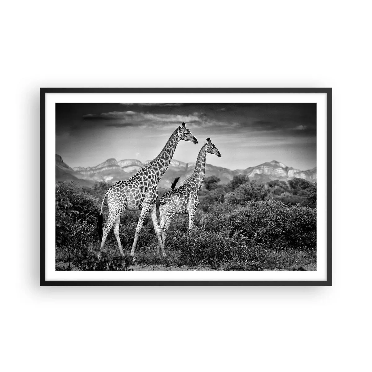 Poster în ramă neagră - Clasele superioare din Africa - 91x61 cm