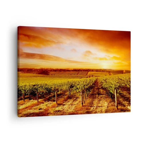 Tablou pe pânză Canvas - Podgorie la apus cu tonuri calde de cer - 70x50cm - Cu un iz de fructe, cu o notă de soare - Decorațiune modernă pentru perete pentru living și dormitor ARTTOR