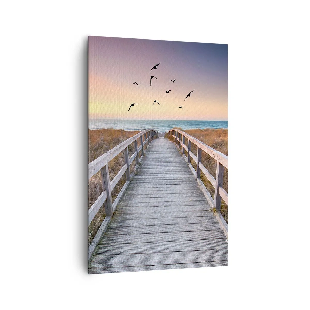 Tablou pe pânză - Spațiul pentru a zbura - 80x120 cm