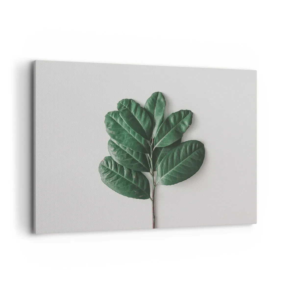 Tablou pe pânză - Desenul naturii însăși - 100x70 cm