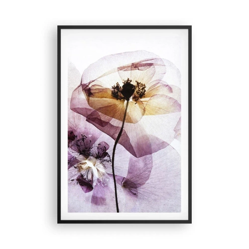 Poster în ramă neagră - Corp de flori transparente - 61x91 cm