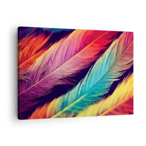 Tablou pe pânză Canvas - Pene colorate în culori intense - 70x50cm - Curcubeu cu pene - Decorațiune modernă pentru perete pentru living și dormitor ARTTOR
