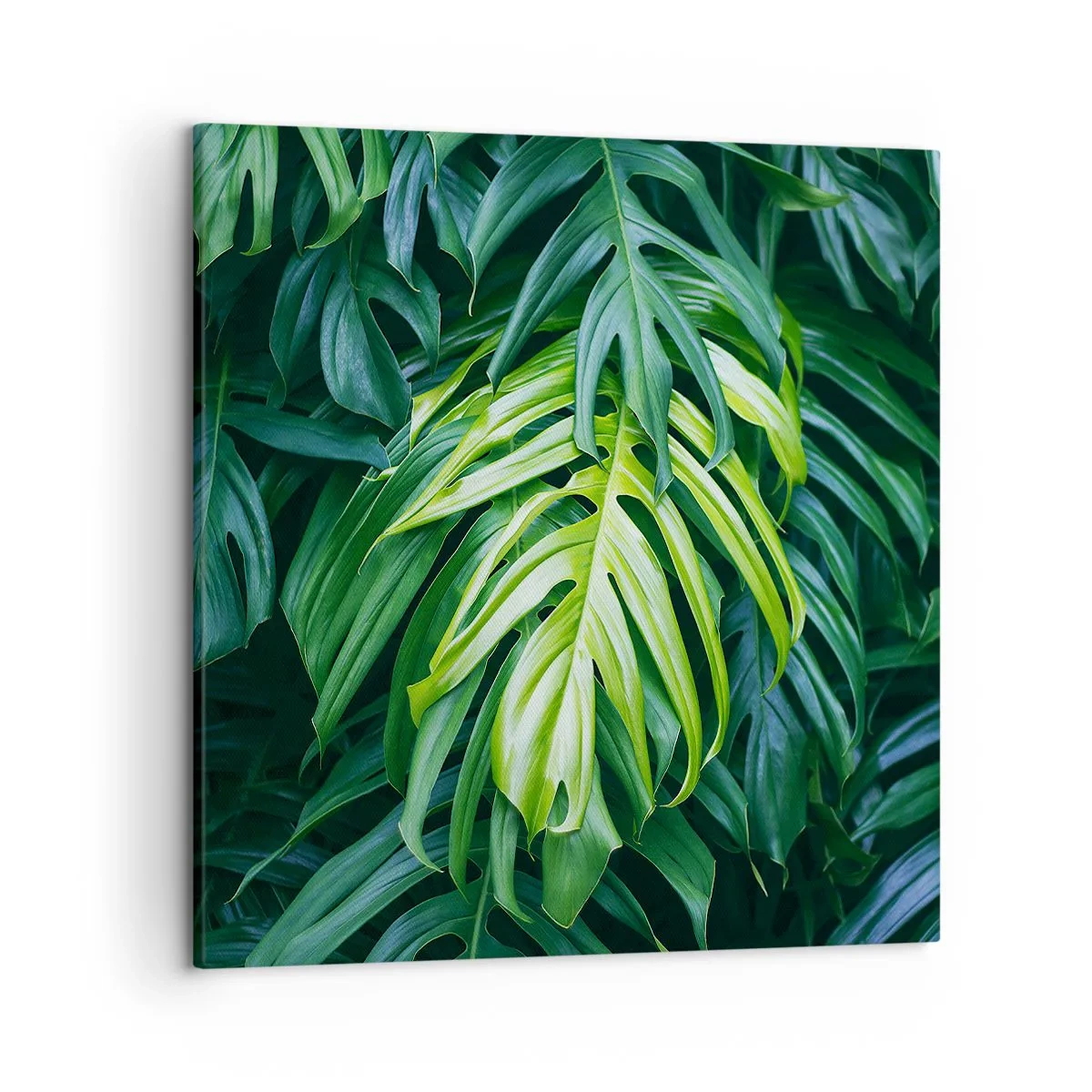 Tablou pe pânză - Scufundă-te în prospețime - 50x50 cm