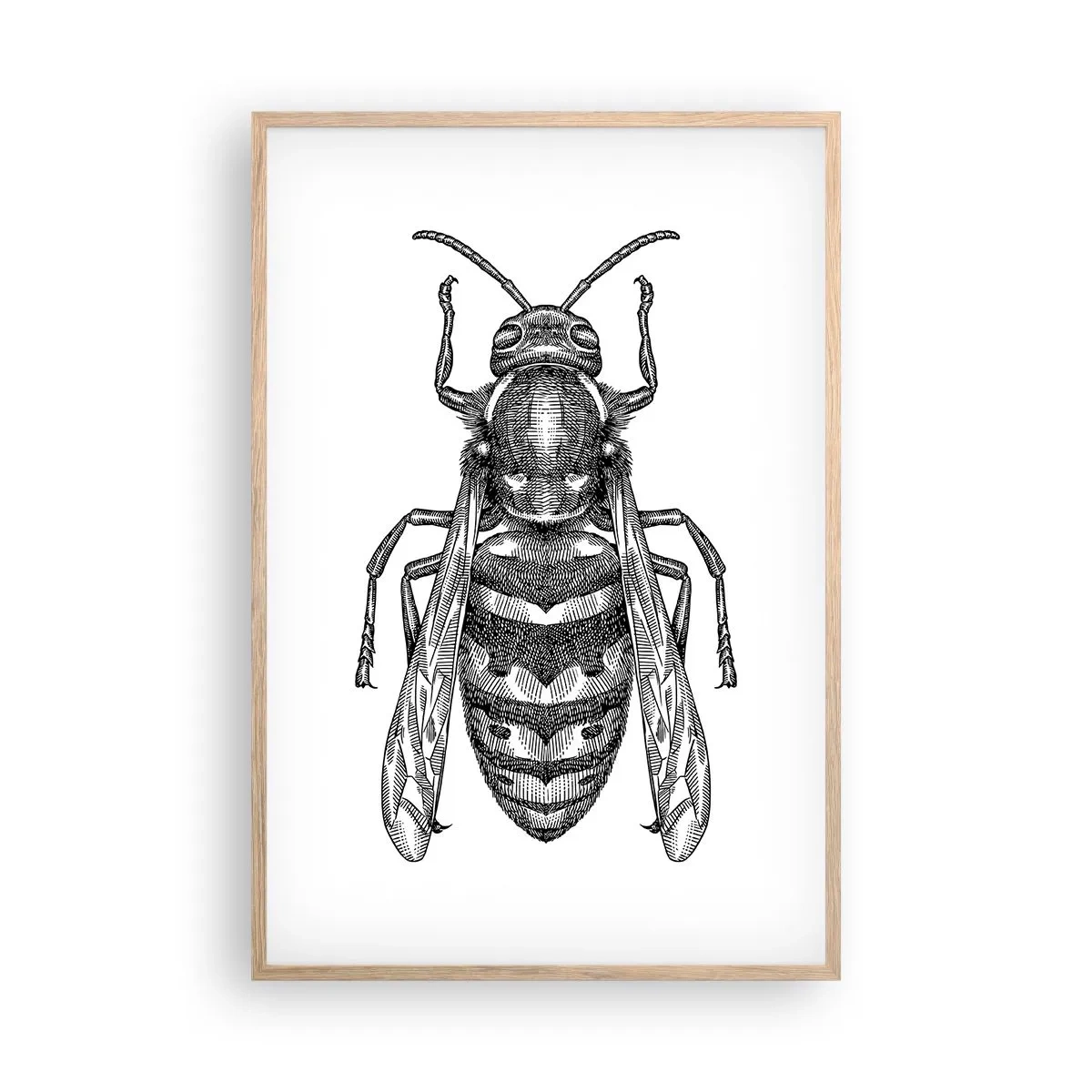 Poster în ramă de stejar deschis - De pe o planetă de insecte - 61x91 cm