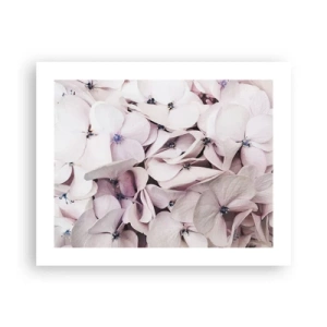 Poster - Într-un potop de flori - 50x40 cm