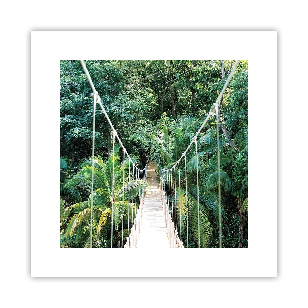 Poster - Welcome to the jungle! - 30x30 cm