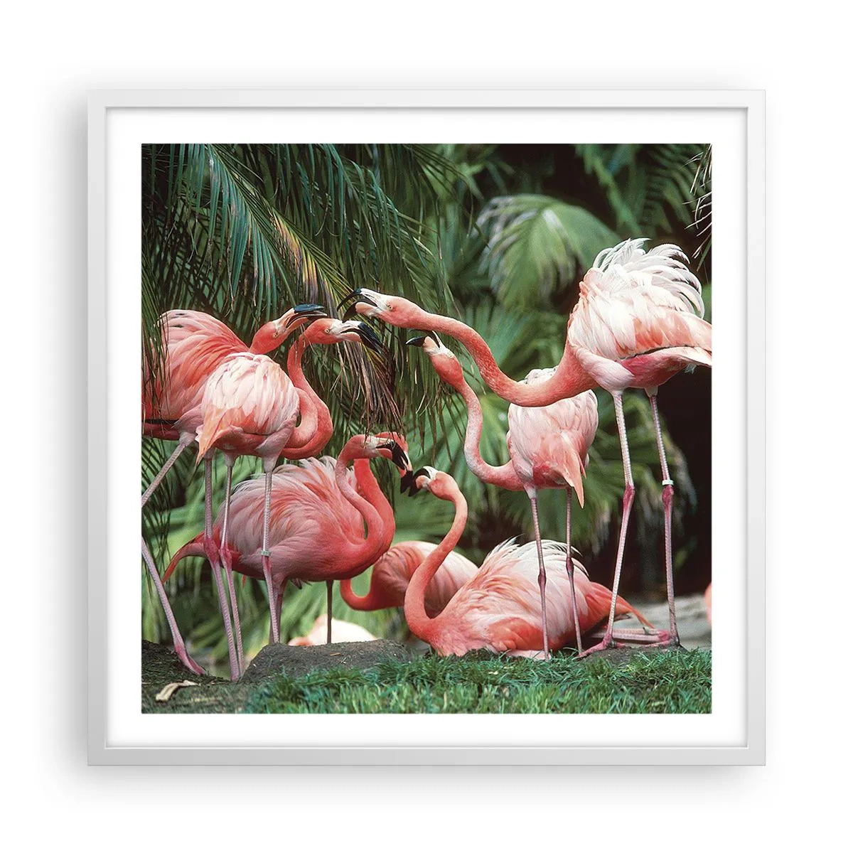 Poster în ramă albă - Bârfa de după-amiază - 60x60 cm