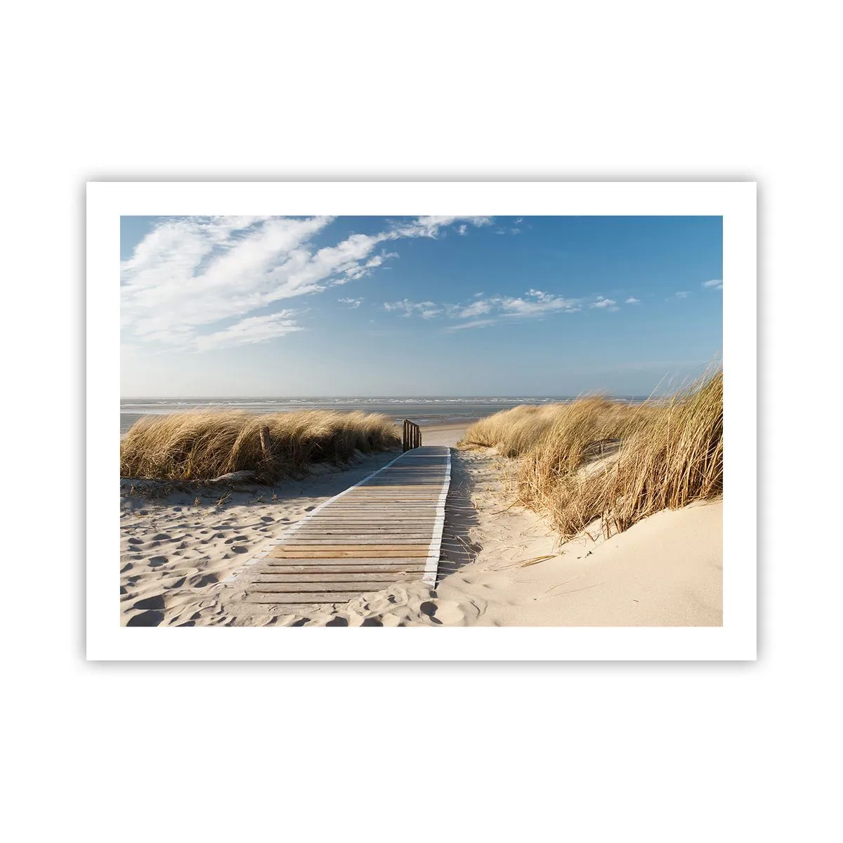 Poster - În spatele dunei, în zumzetul ierbii - 70x50 cm