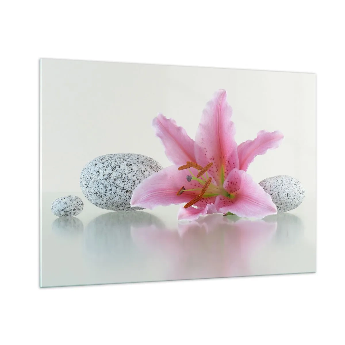 Tablou pe sticlă - Studiu în roz, gri și alb - 100x70 cm