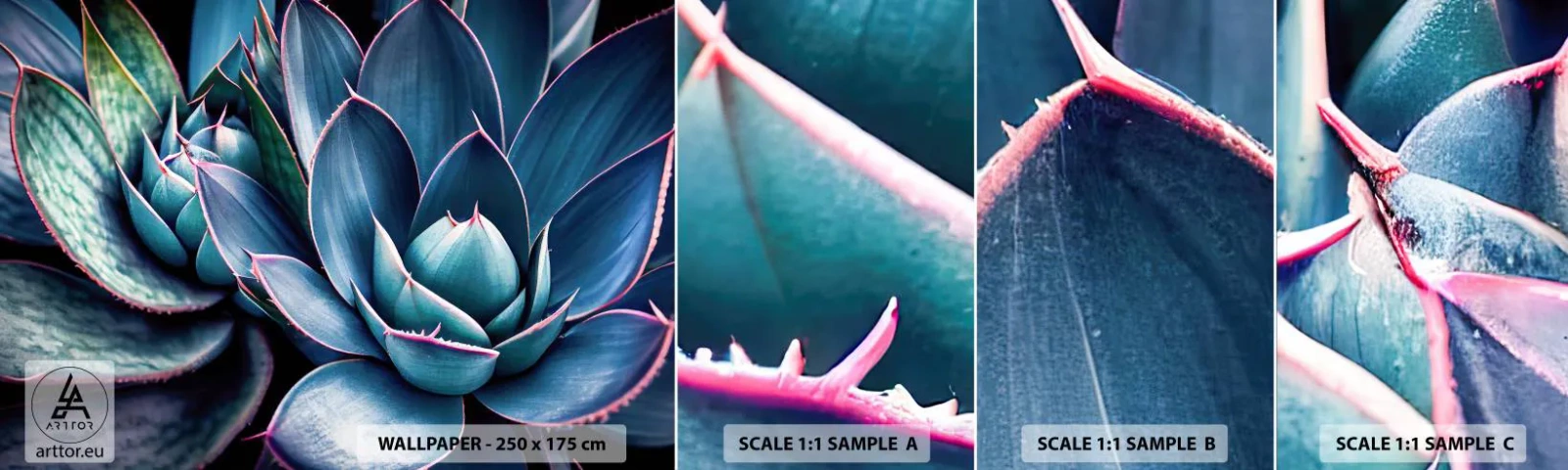 Mostră tapet autocolant Deluxe Sticker - Forța vitală - Flori, Botanică, Suculent - 100x30 cm