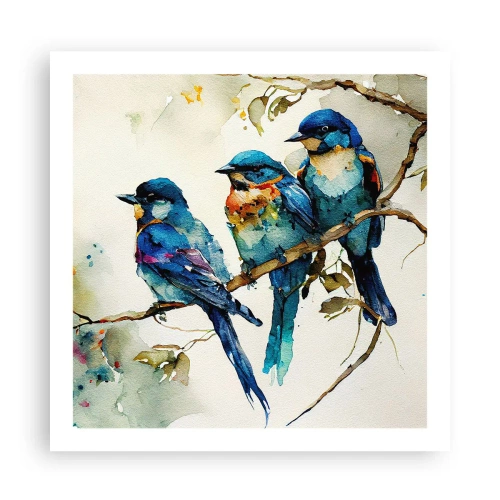 Poster - Se simte jignit? - 60x60 cm