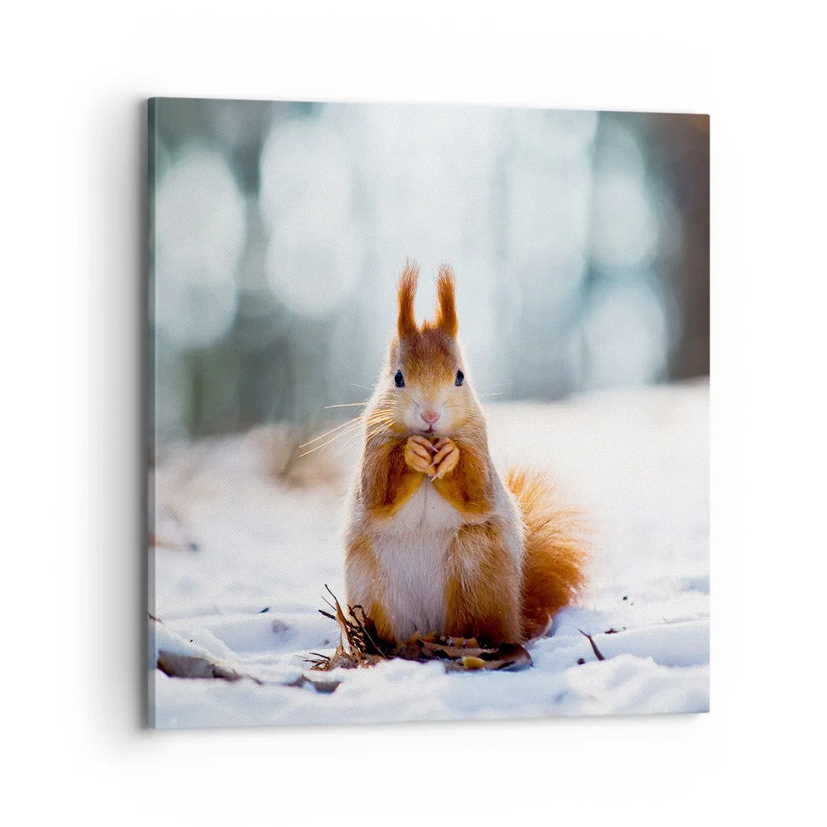 Tablou pe pânză - Și la ce te uiți? - 70x70 cm