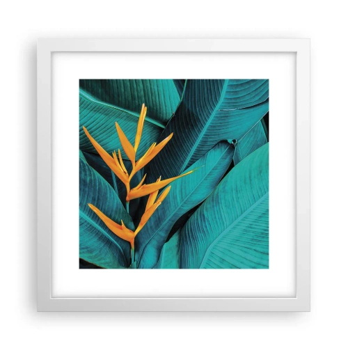 Poster în ramă albă - Floarea Edenului - 30x30 cm