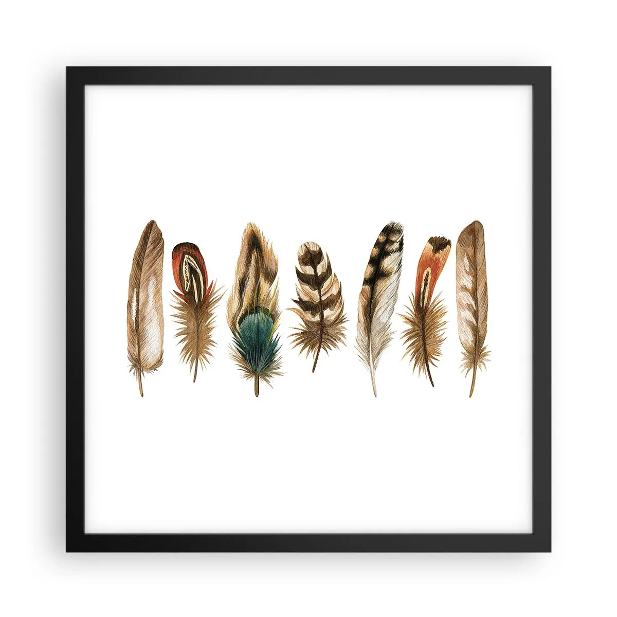 Poster în ramă neagră - Variație cu pene - 40x40 cm