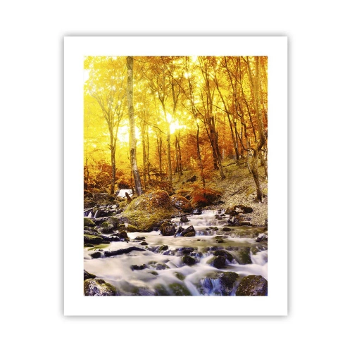 Poster - Pietre montate în aur și platină - 40x50 cm