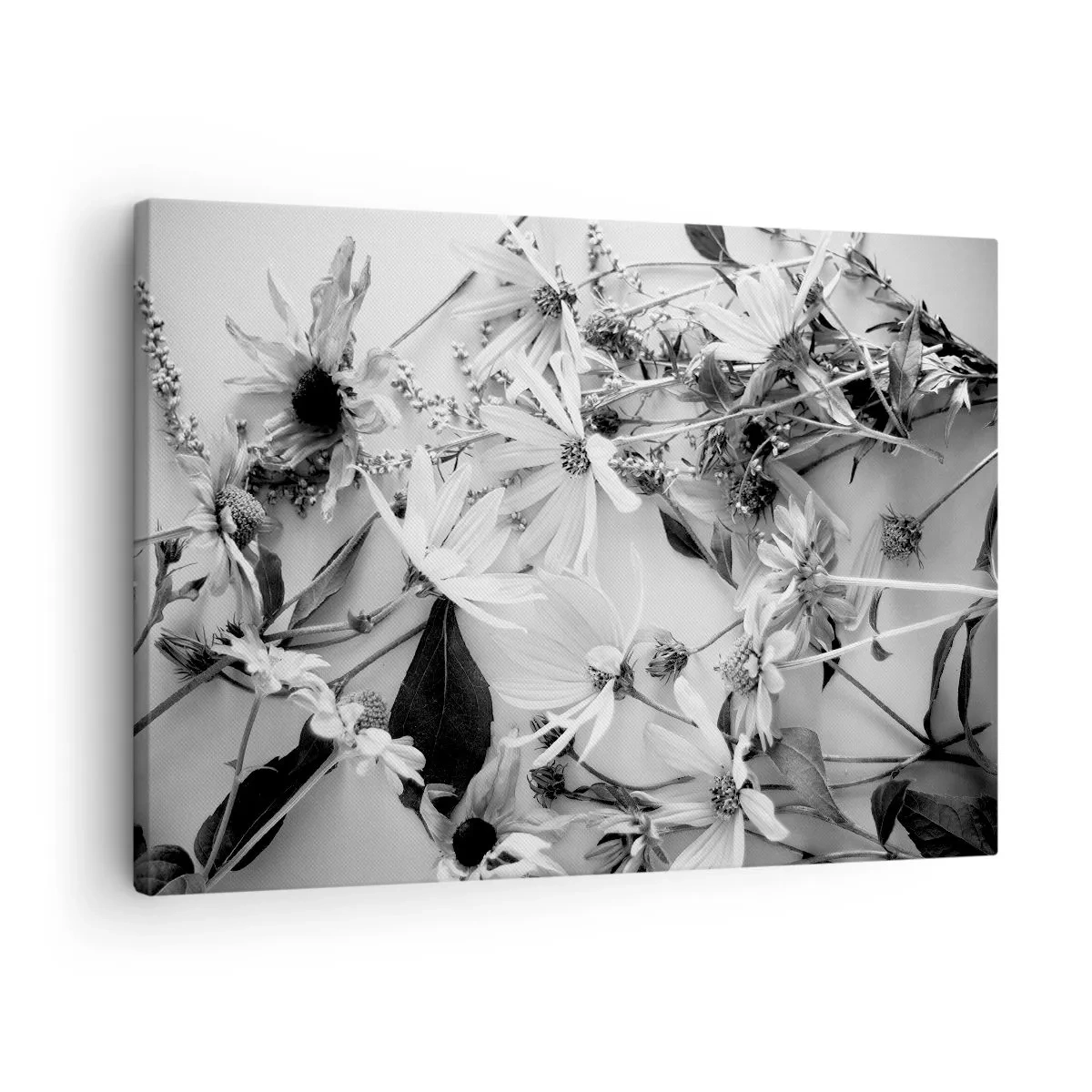 Tablou pe pânză Canvas - Aranjamente florale alb-negru într-un stil artistic subtil - 70x50cm - Un altfel de buchet - Decorațiune modernă pentru perete pentru living și dormitor ARTTOR