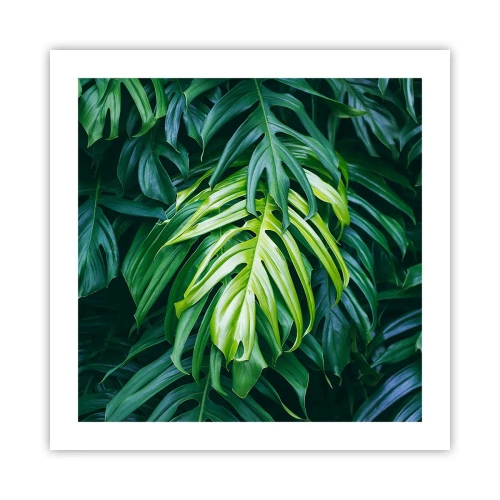 Poster - Scufundă-te în prospețime - 50x50 cm