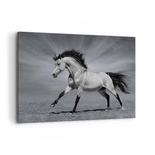 Tablou pe pânză - Născut pentru a încânta - 100x70 cm
