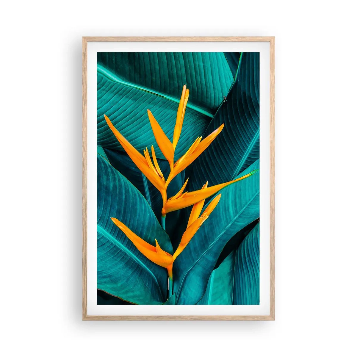 Poster în ramă de stejar deschis - Floarea Edenului - 61x91 cm