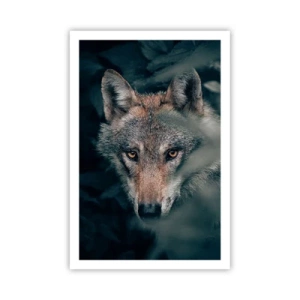 Poster - Vânător - 61x91 cm