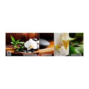 Mostră tapet Premium Sand - Lasă natura să te atingă - Flori, Orhidee, Orhidee - 100x30 cm