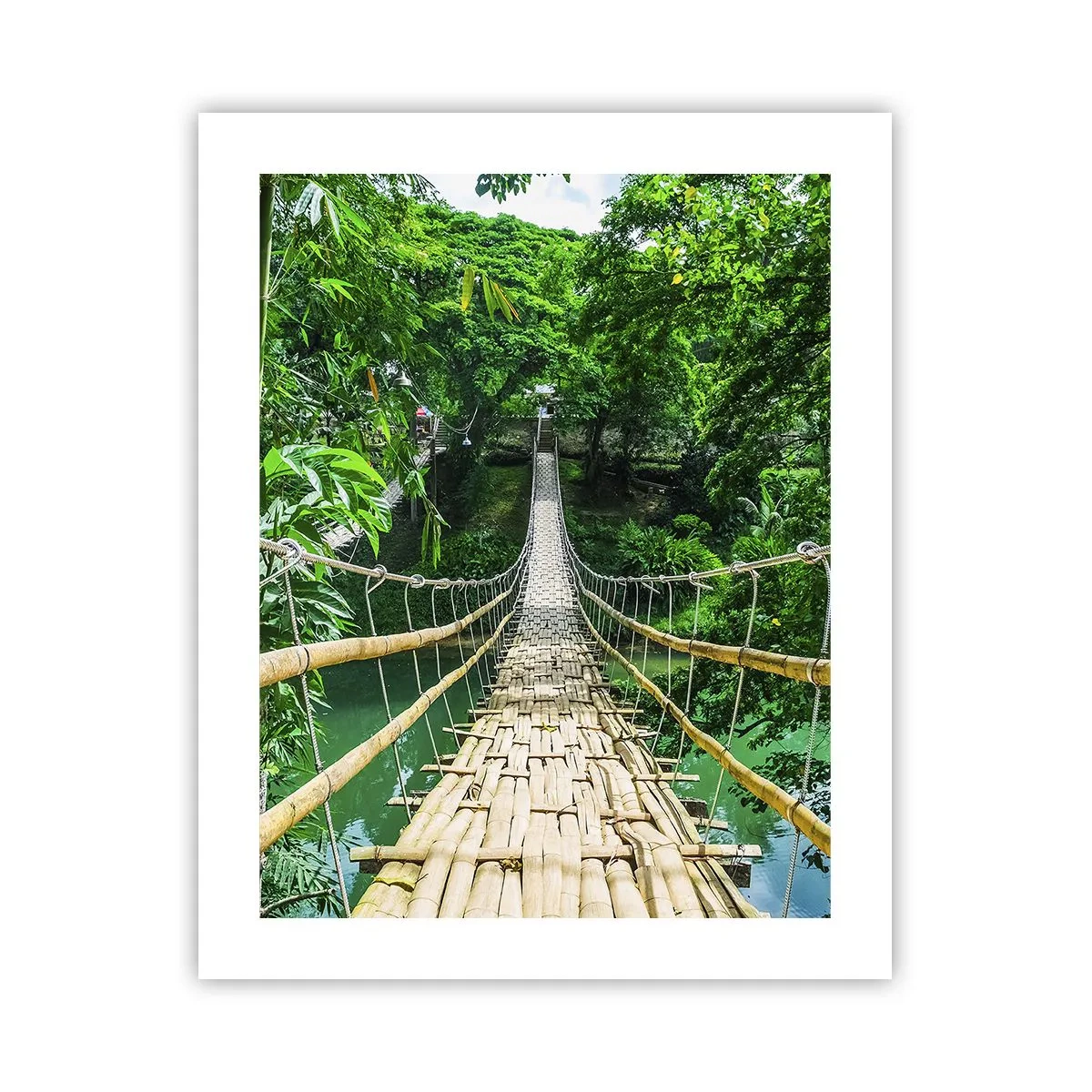 Poster - Pod de maimuțe peste verdeață - 40x50 cm