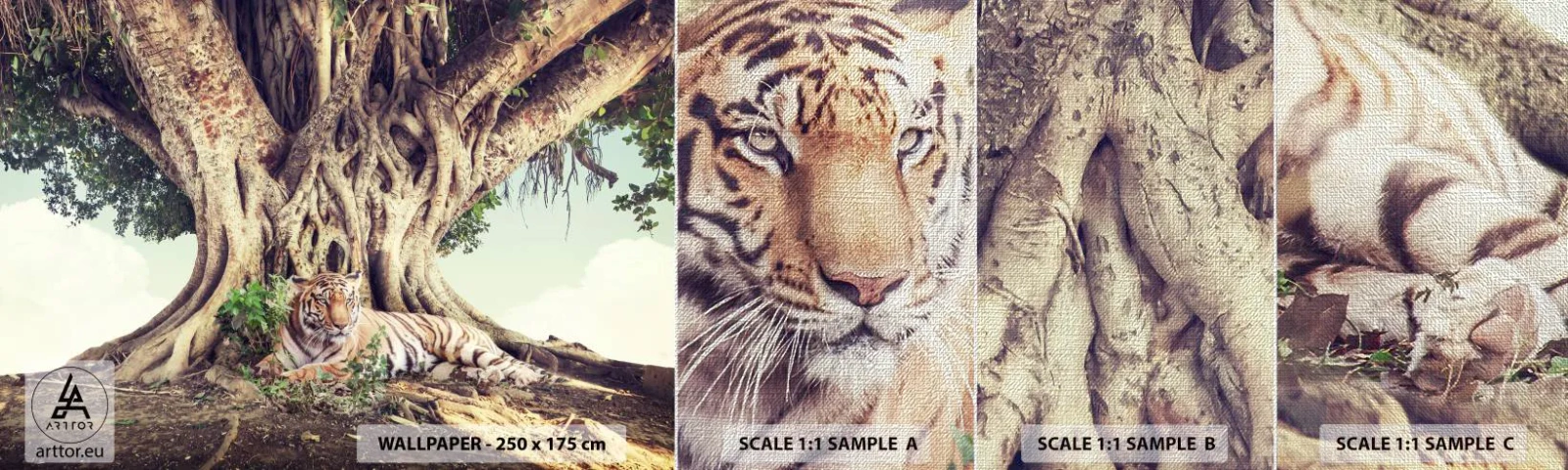 Mostră tapet Premium Canvas - O perspectivă din Geneză - tigru bengalez, India, Peisaj - 100x30 cm
