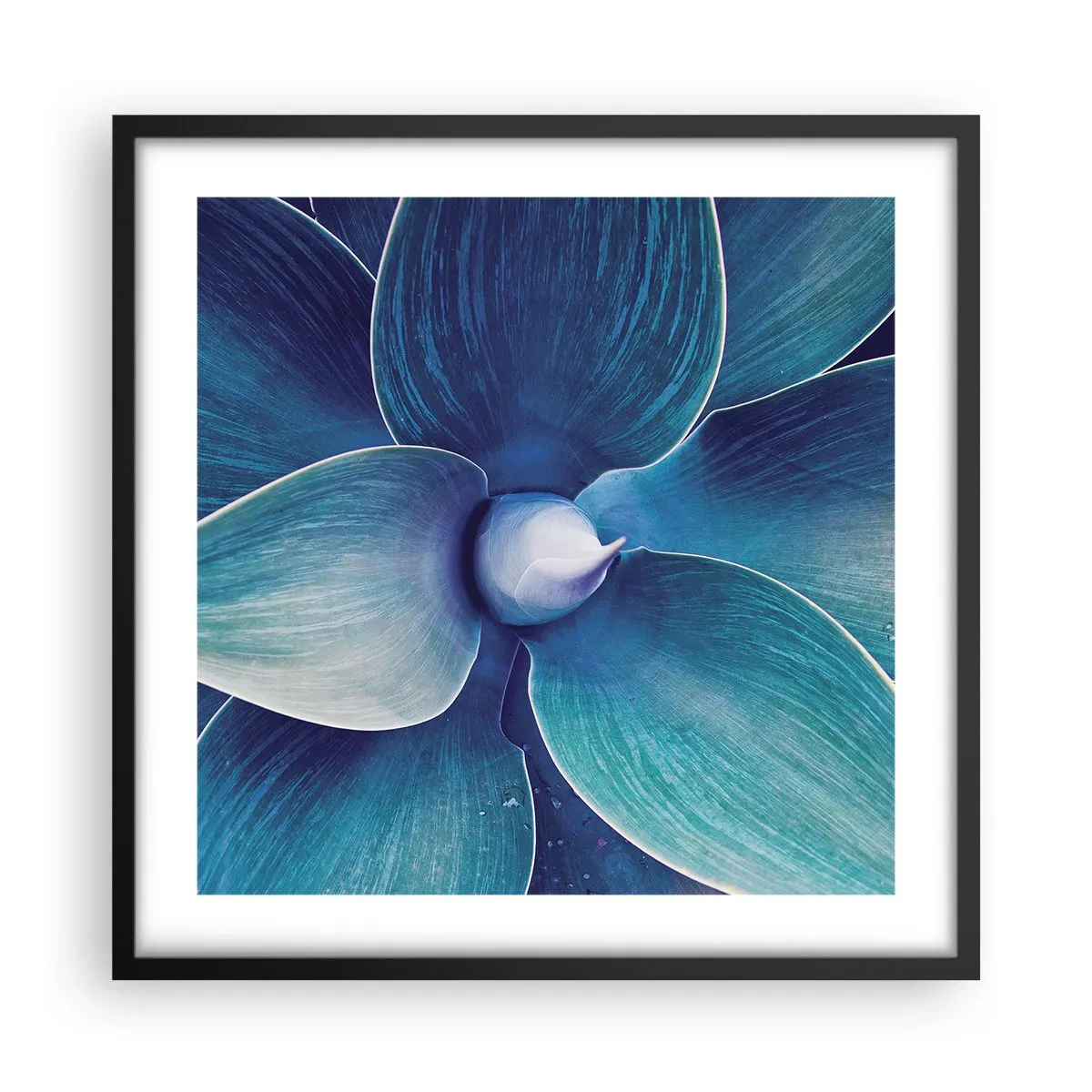 Poster în ramă neagră - A furat albastrul de la cer - 50x50 cm