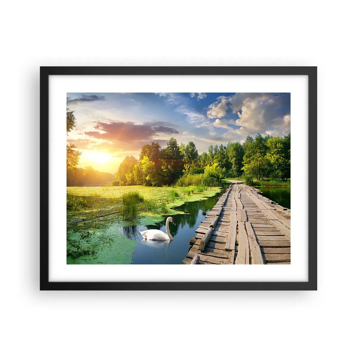 Poster în ramă neagră - Vară, vară peste tot - 50x40 cm