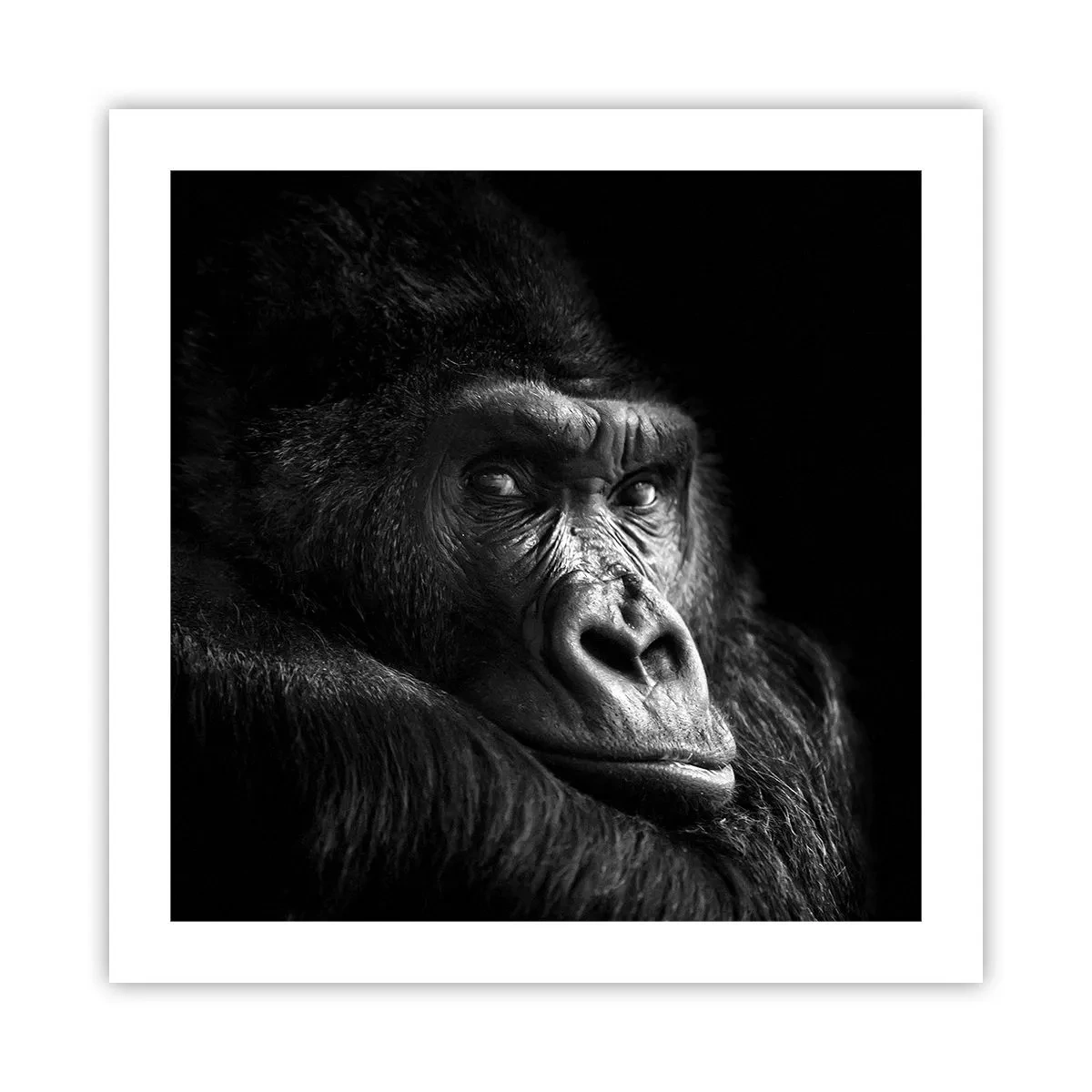 Poster - Și la ce te uiți? - 50x50 cm