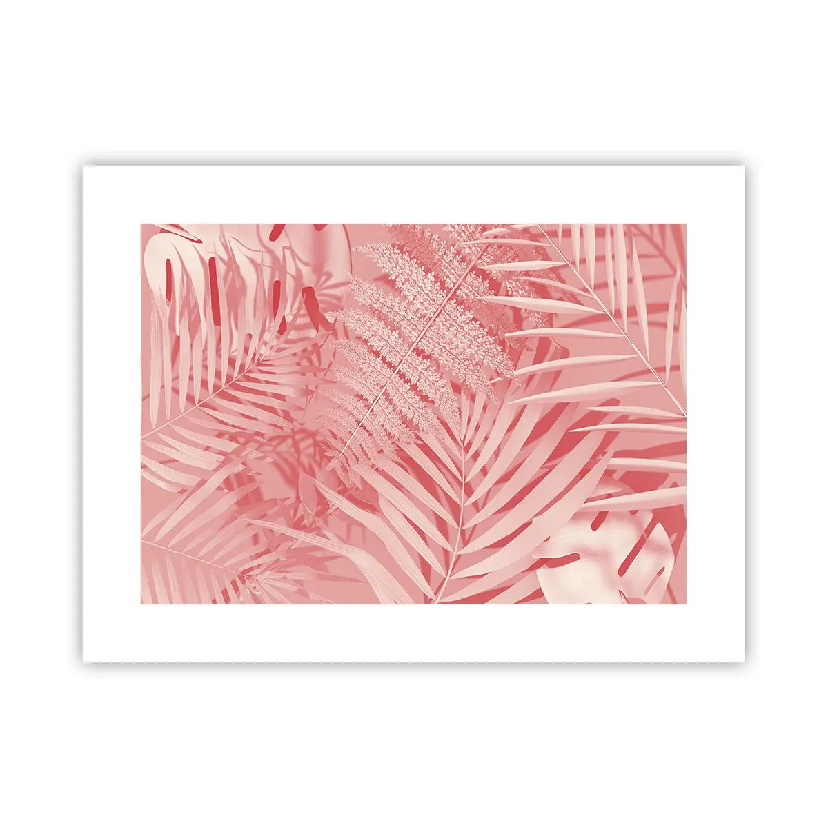 Poster - Conceptul roz - 40x30 cm