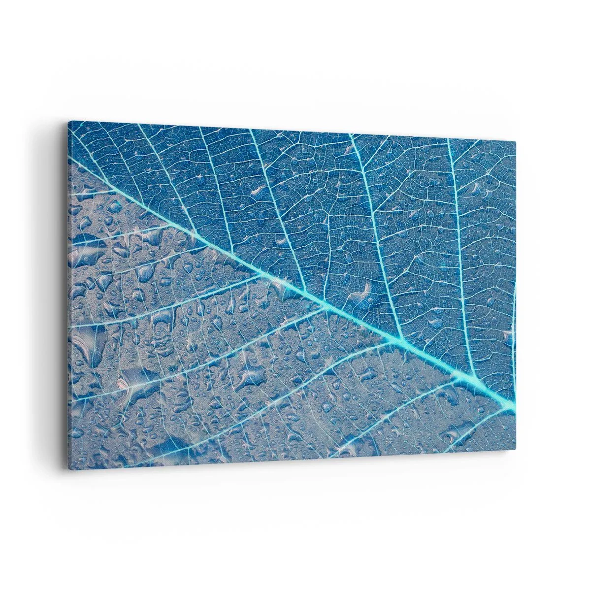 Tablou pe pânză - Viața în albastru - 100x70 cm