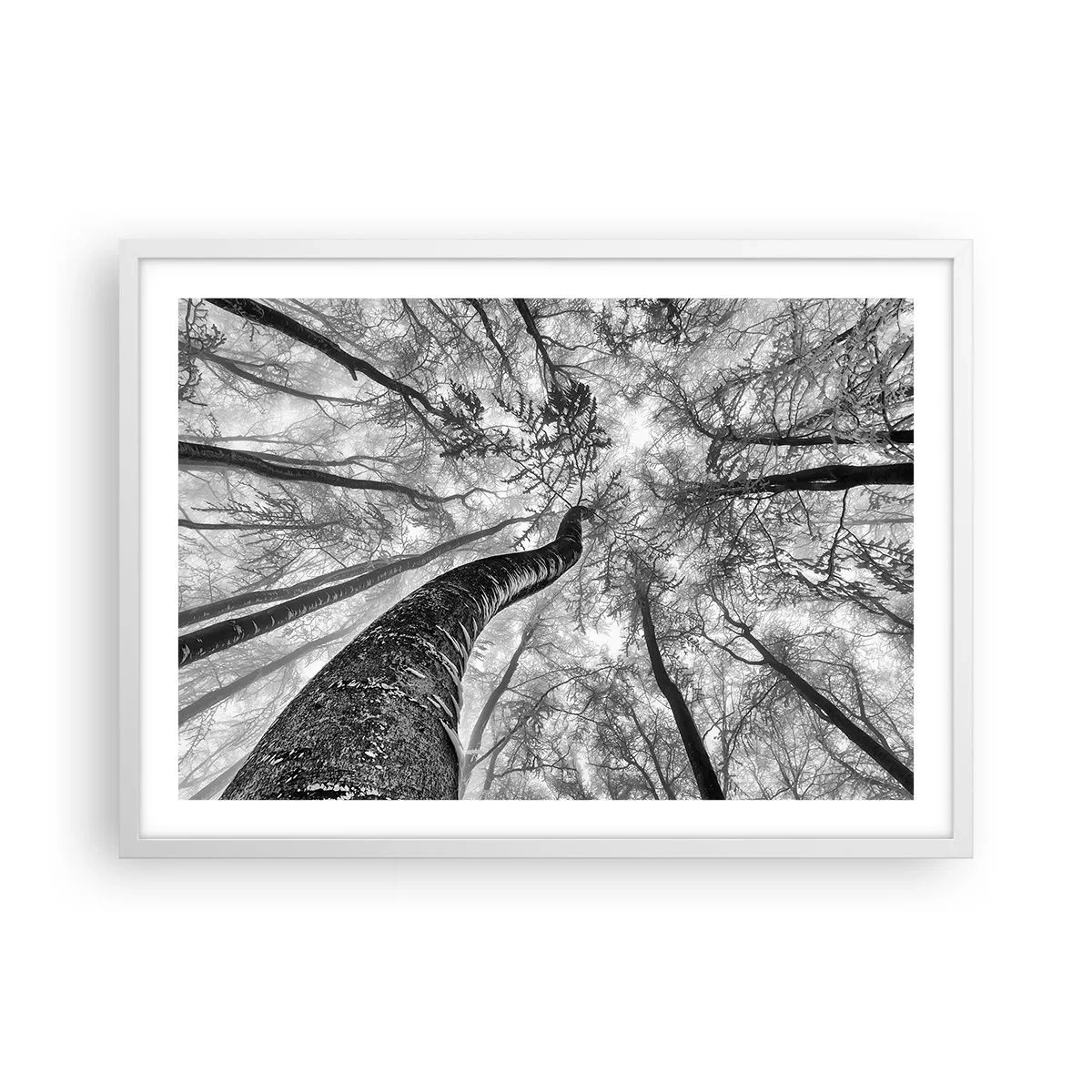 Poster în ramă albă - Cursa spre lumină - 70x50 cm