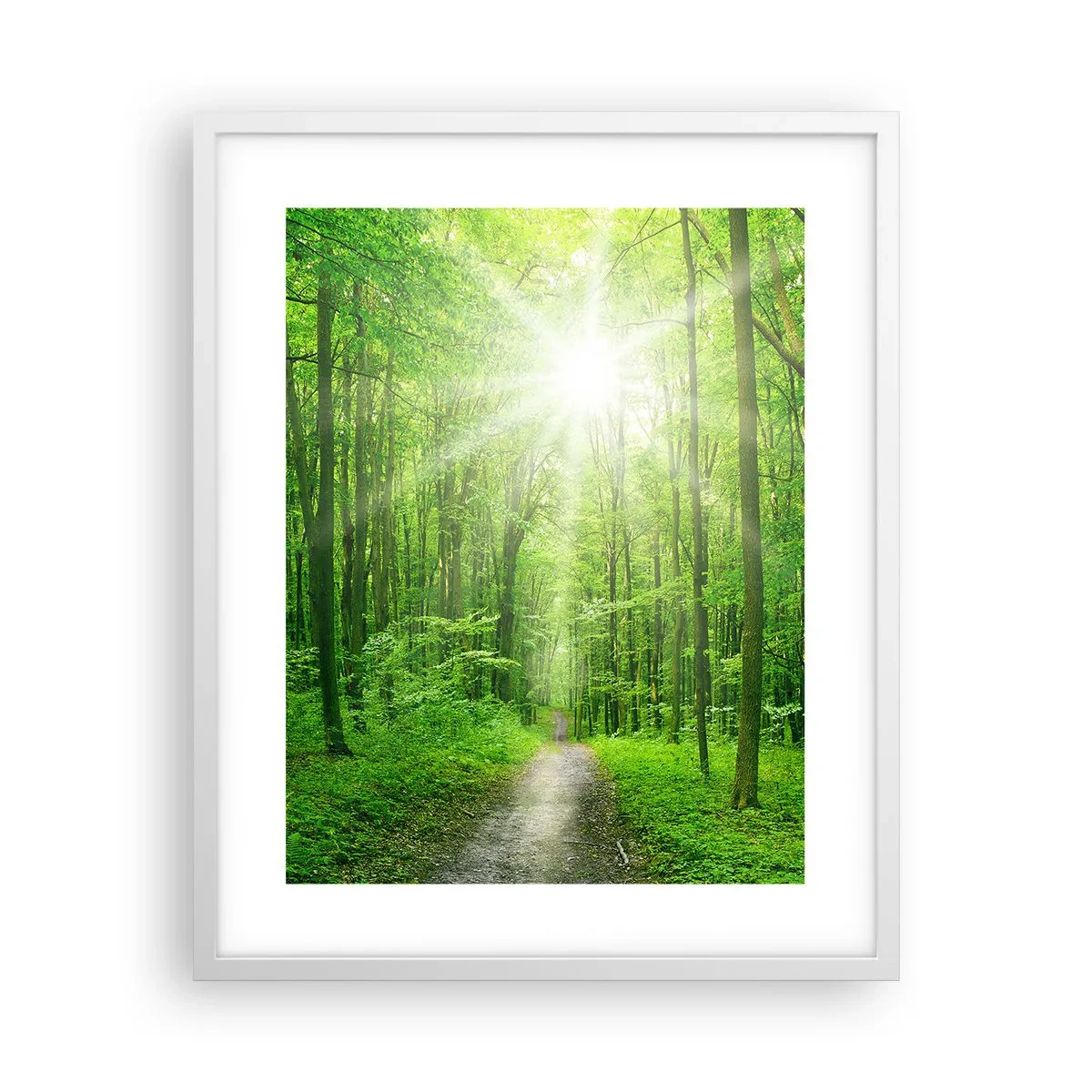 Poster în ramă albă - Catedrala verde - 40x50 cm