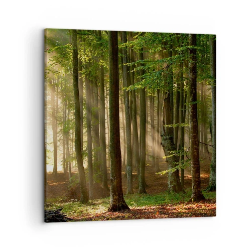 Tablou pe pânză - Strălucitoare într-o dimineață de primăvară - 50x50 cm