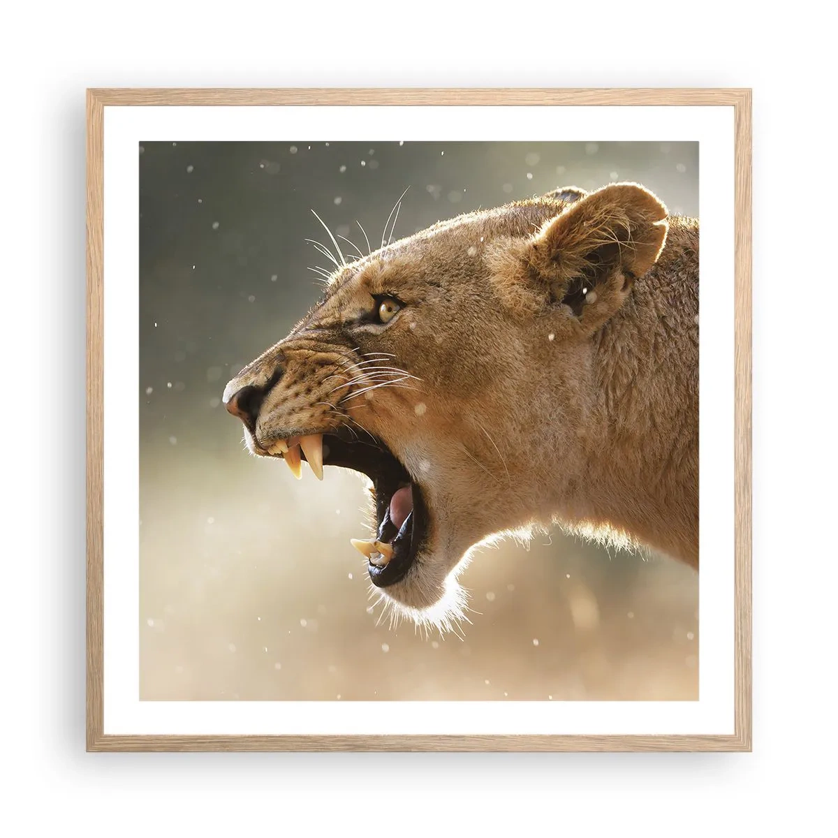 Poster în ramă de stejar deschis - Încearcă să nu asculți - 60x60 cm