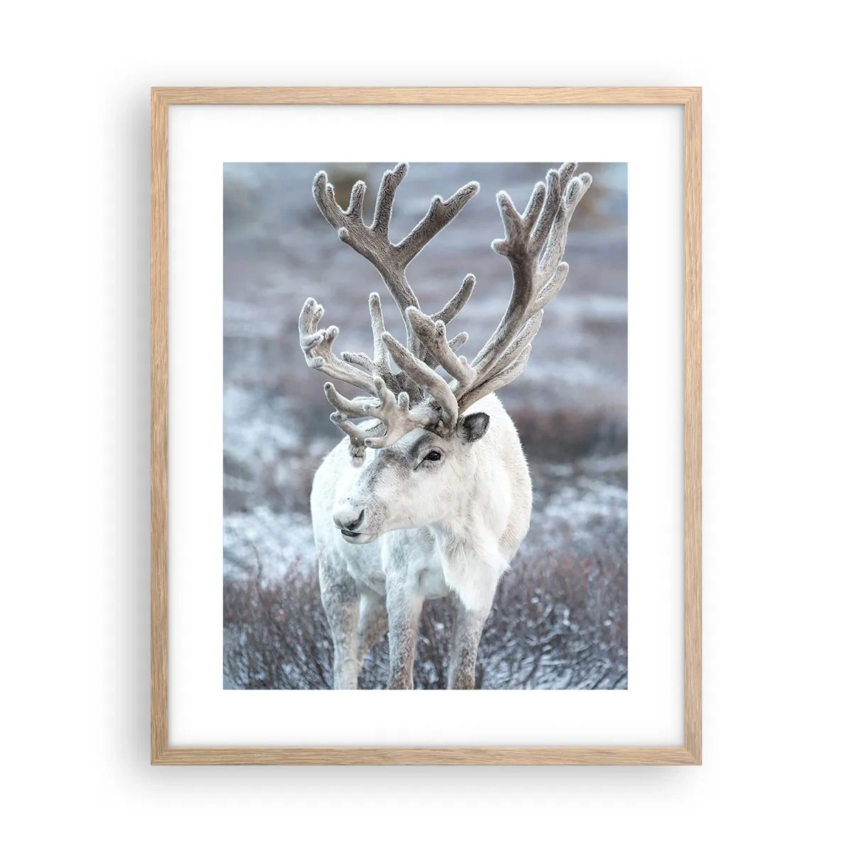 Poster în ramă de stejar deschis - Portret la soare - 40x50 cm