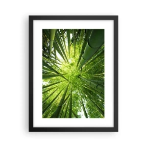 Poster în ramă neagră - Într-o pădure de bambus - 30x40 cm