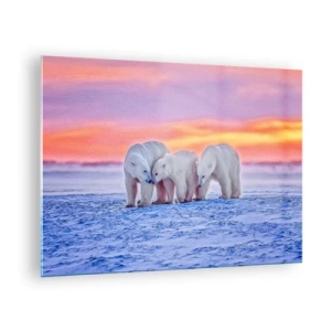 Tablou pe sticlă - Trei urși polari pe un fundal înzăpezit la apus - 70x50cm - Căldura familiei este suficientă - Decorațiune modernă pentru perete pentru living și dormitor ARTTOR