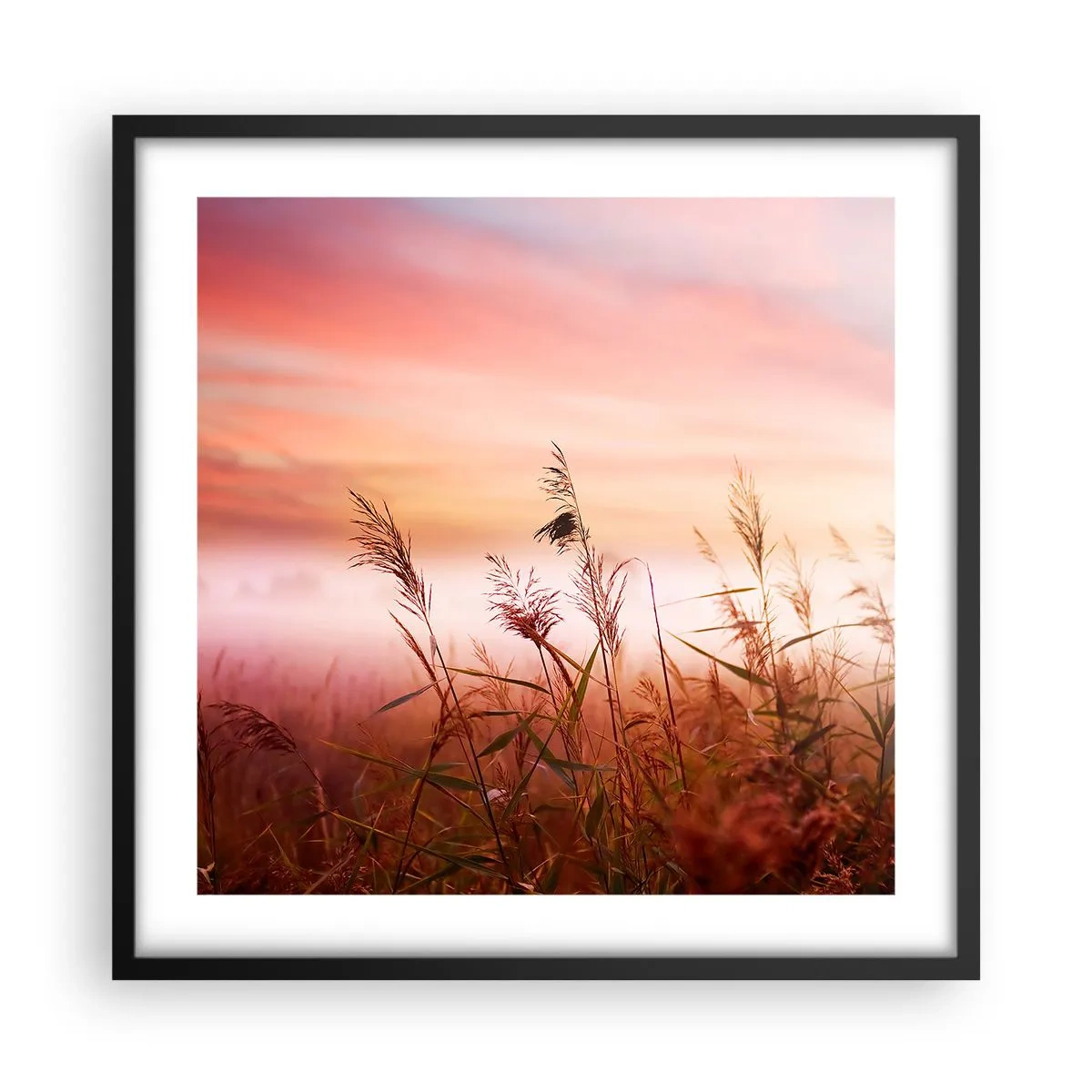 Poster în ramă neagră - Zmeuri, suflante, vânt - 50x50 cm