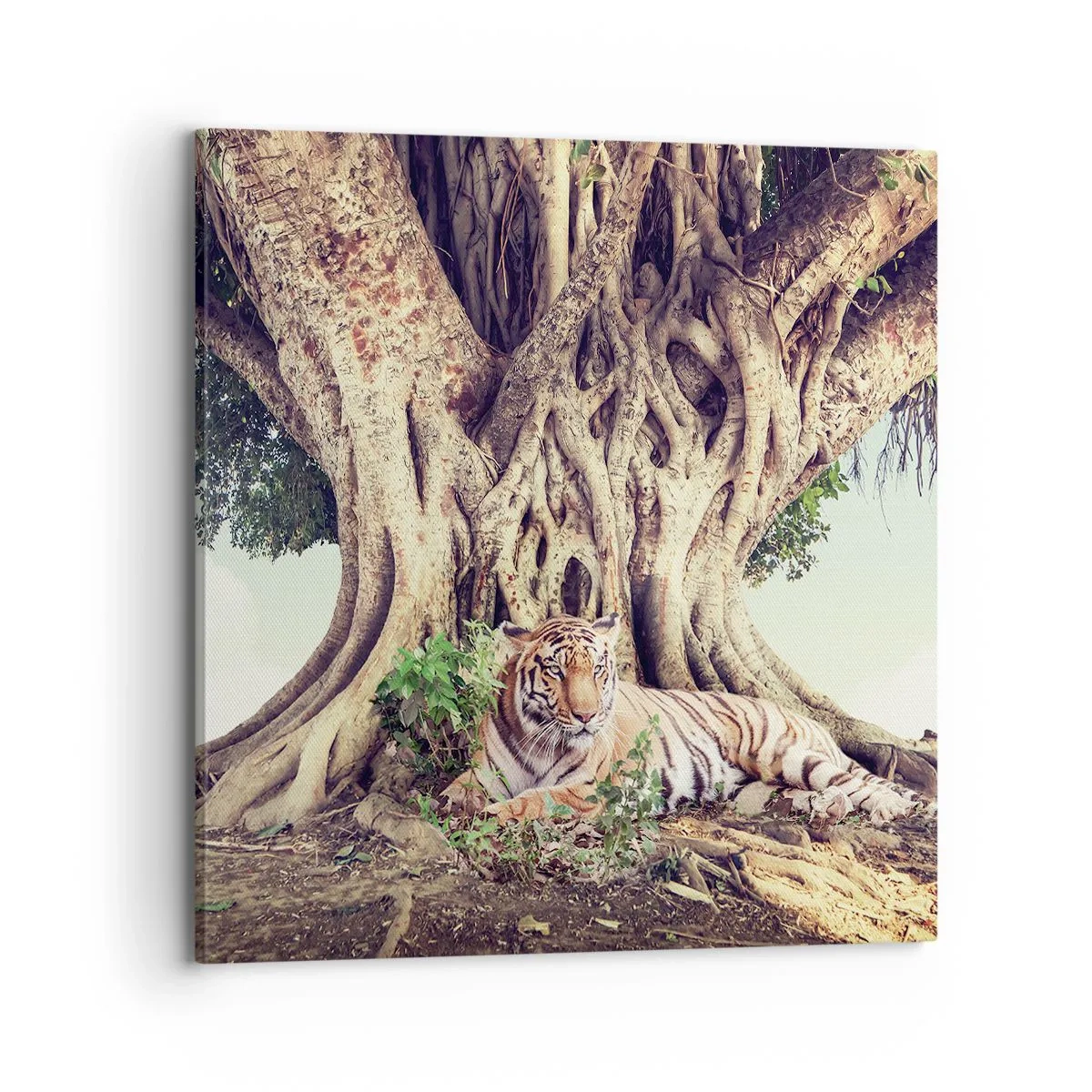 Tablou pe pânză - O perspectivă din Geneză - 70x70 cm