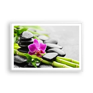 Poster în ramă albă - Într-un echilibru pașnic - 91x61 cm