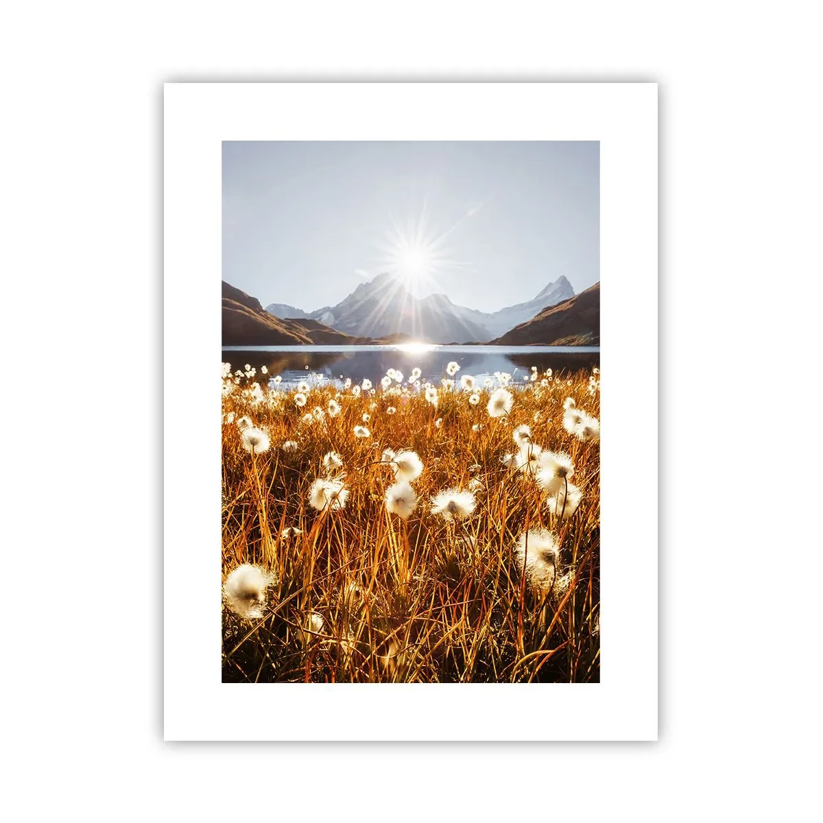 Poster - Duritatea rocilor, moliciunea ierbii - 30x40 cm