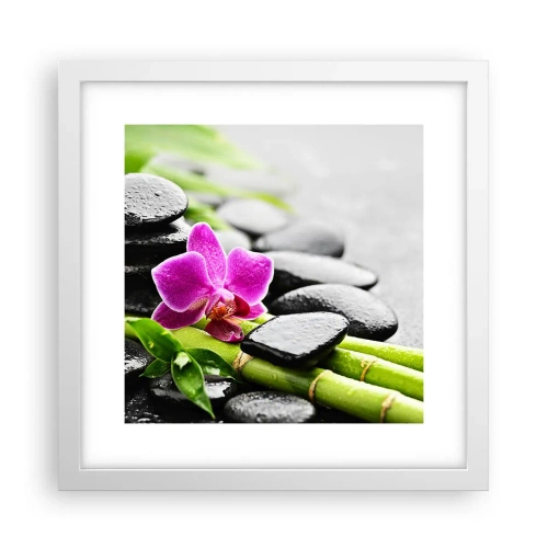 Poster în ramă albă - Într-un echilibru pașnic - 30x30 cm