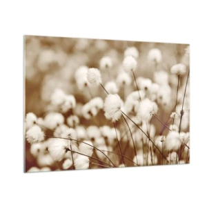 Tablou pe sticlă - Câmp pufos - 100x70 cm