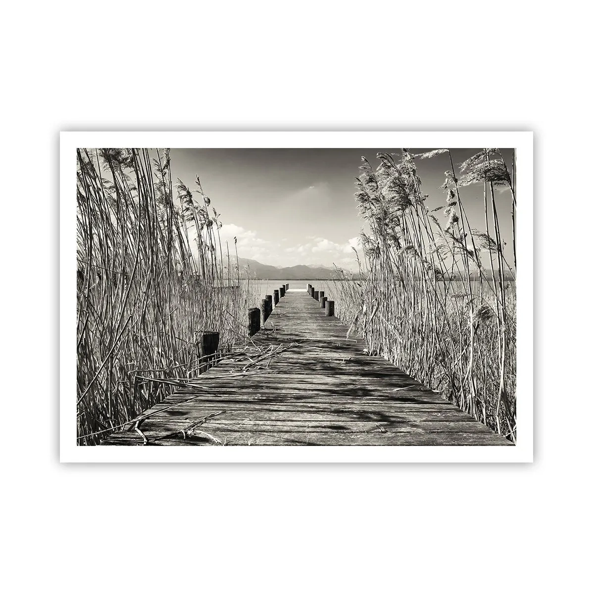 Poster - În intimitatea ierburilor - 100x70 cm