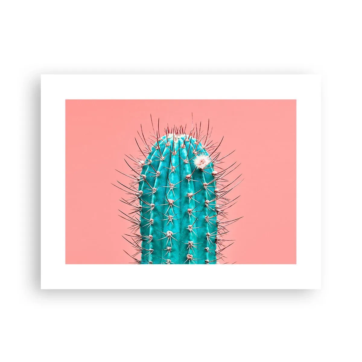 Poster - Doar privește - 40x30 cm