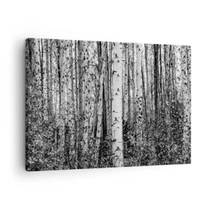 Tablou pe pânză Canvas - Mesteacăni albi și negri în pădure - 70x50cm - Coloane de mesteacăn - Decorațiune modernă pentru perete pentru living și dormitor ARTTOR
