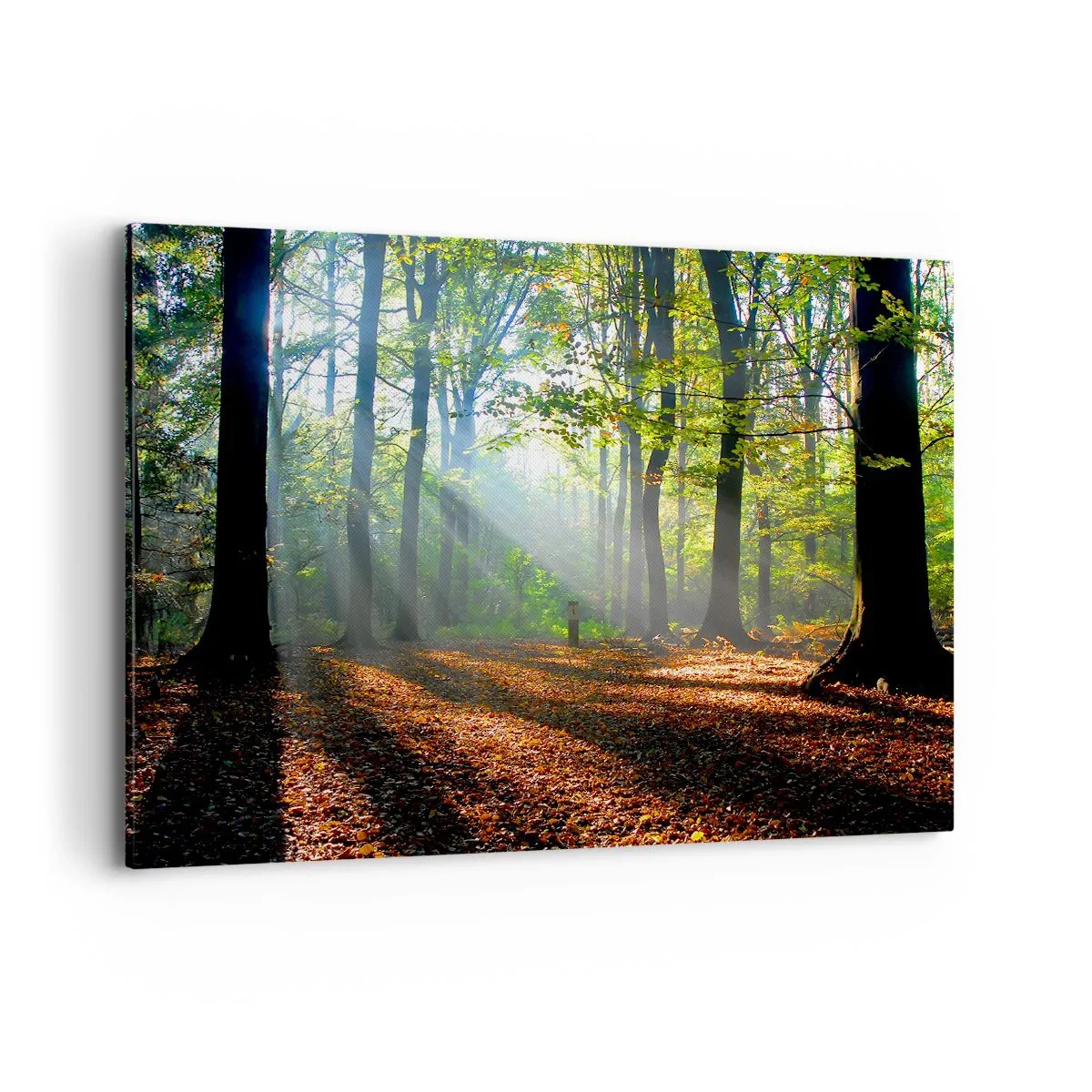 Tablou pe pânză - Străluciri și umbre - 100x70 cm